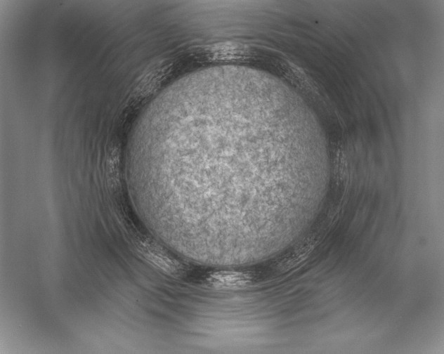 X0000055990557200509092022