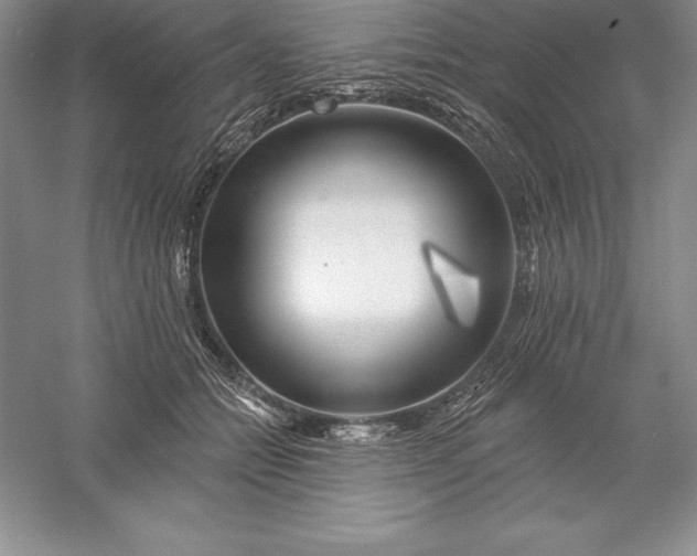 X0000055990558200509092022