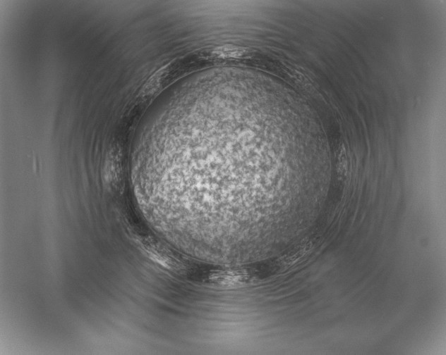 X0000055990559200509092022