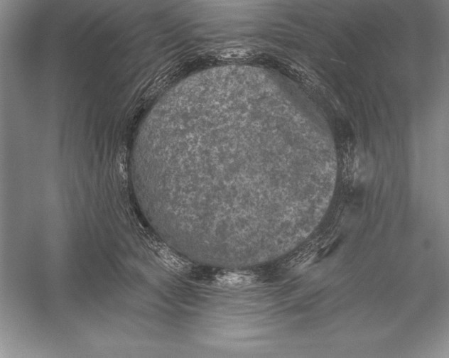 X0000055990561200509092022