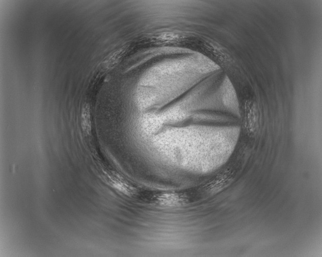 X0000055990562200509092022