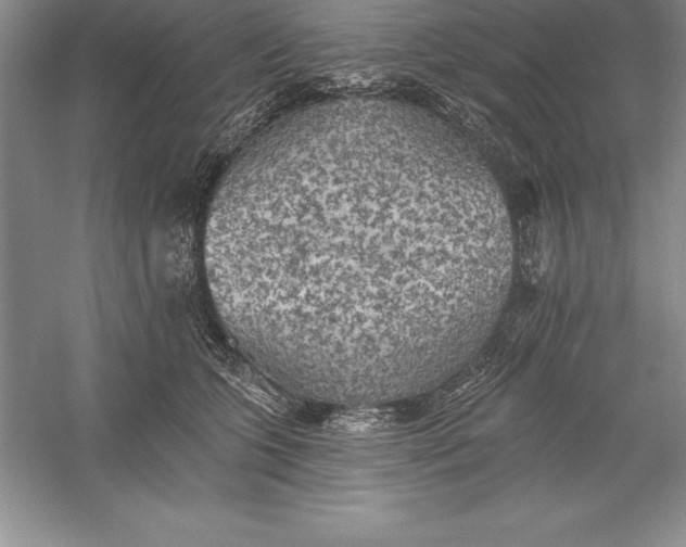 X0000055990563200509092022