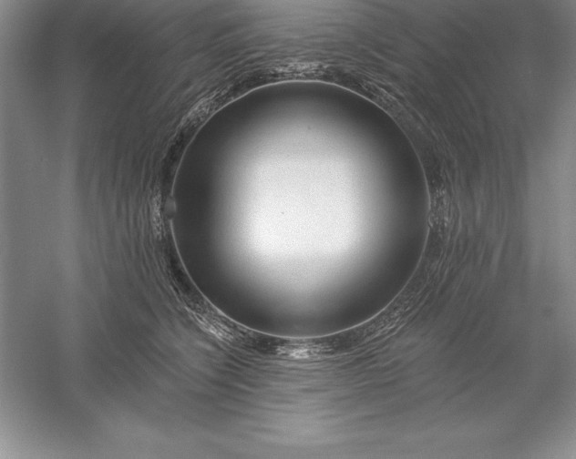 X0000055990564200509092022