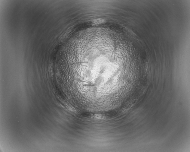 X0000055990565200509092022