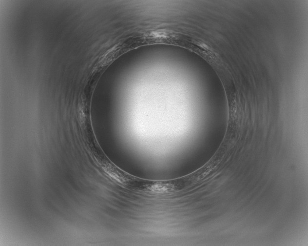 X0000055990566200509092022