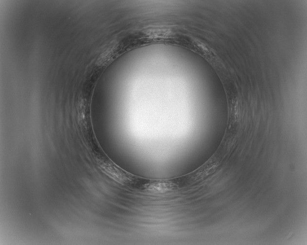 X0000055990567200509092022