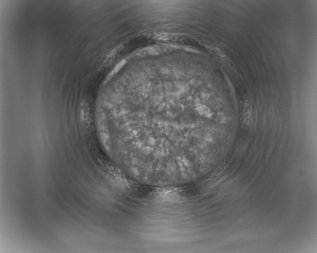 X0000055990569200509092022