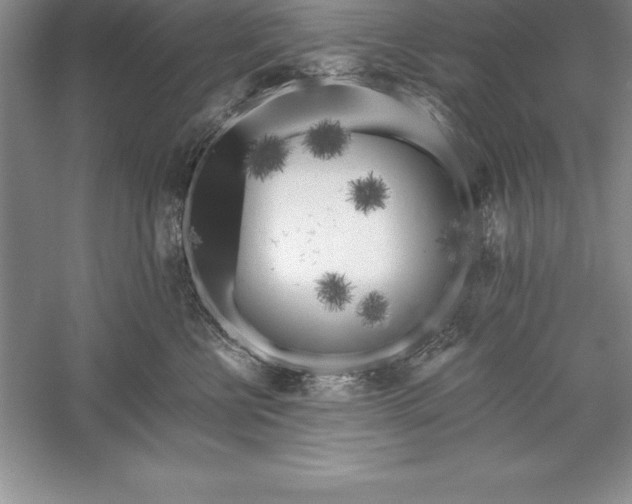 X0000055990570200509092022