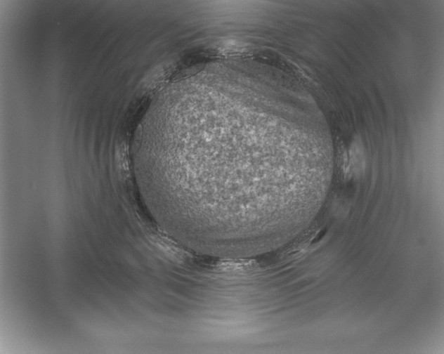 X0000055990571200509092022