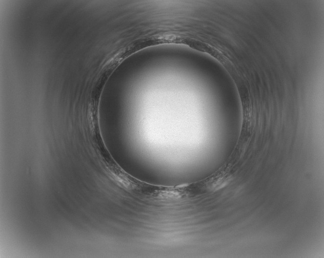 X0000055990572200509092022