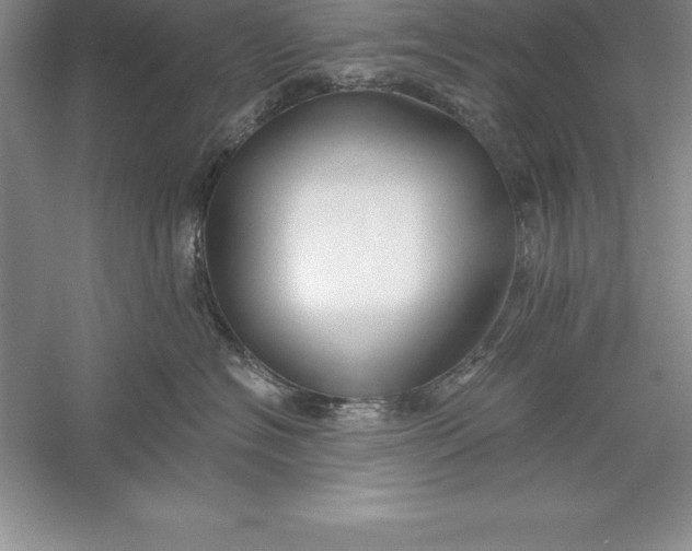 X0000055990574200509092023