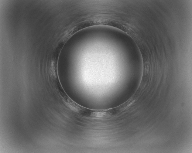 X0000055990575200509092023