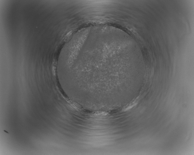 X0000055990576200509092023