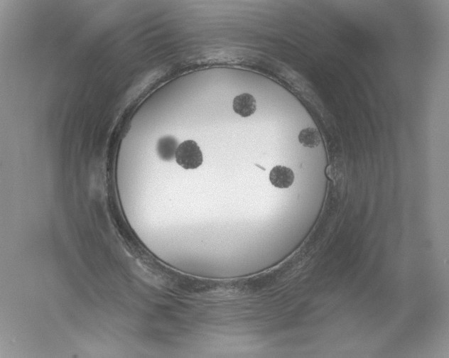 X0000055990578200509092022