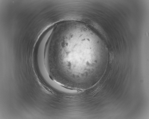 X0000055990580200509092022