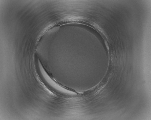 X0000055990581200509092022