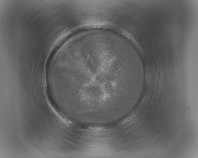 X0000055990582200509092022