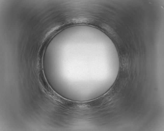 X0000055990583200509092022