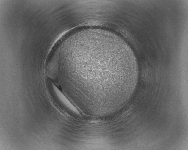 X0000055990584200509092022