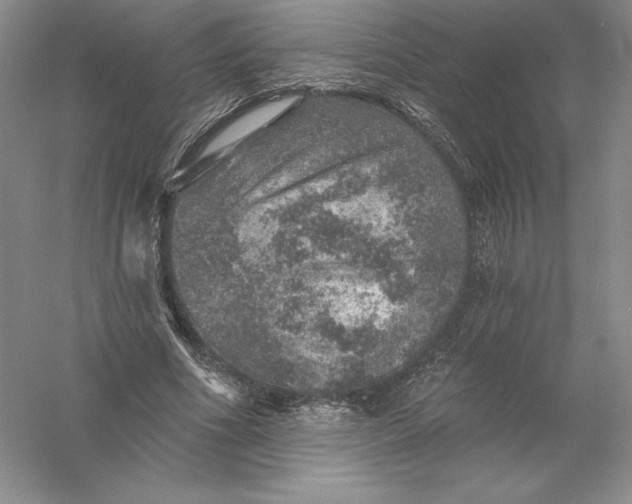 X0000055990586200509092022