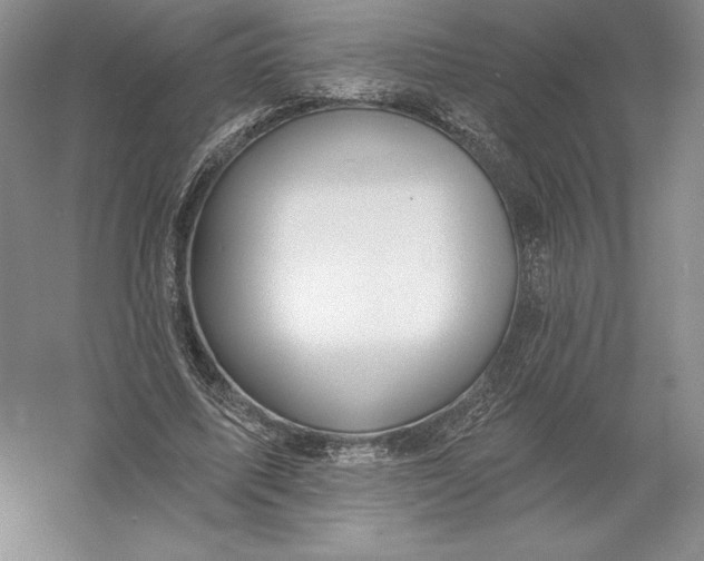 X0000055990587200509092022