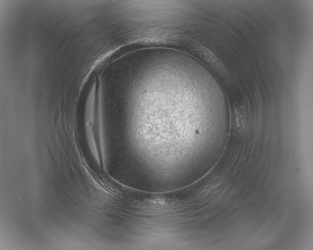 X0000055990588200509092022