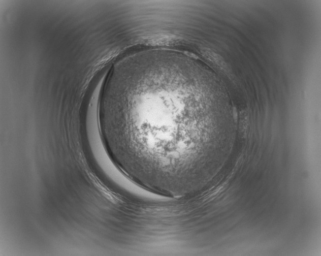 X0000055990589200509092022