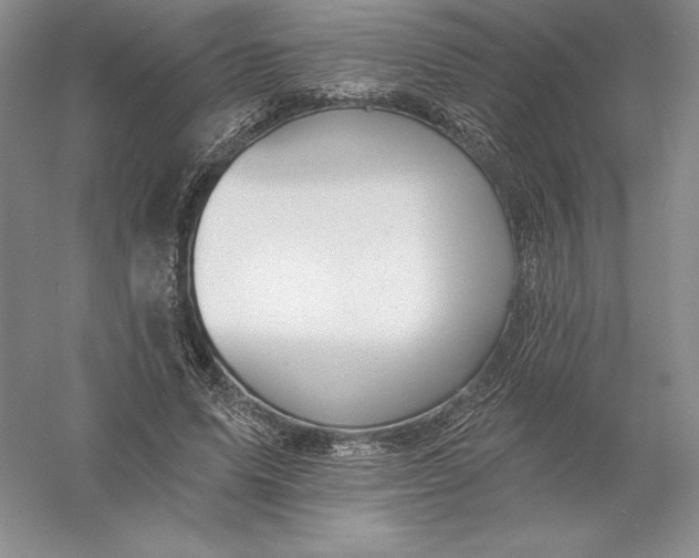 X0000055990591200509092021