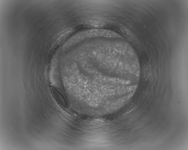 X0000055990594200509092021