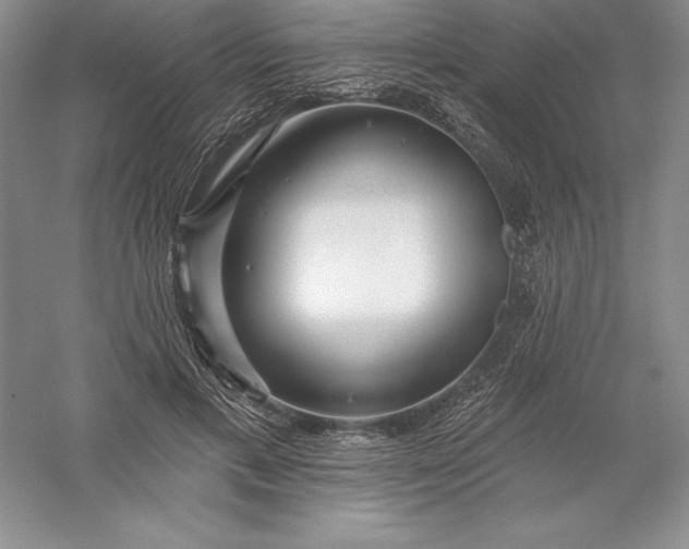 X0000055990597200509092021