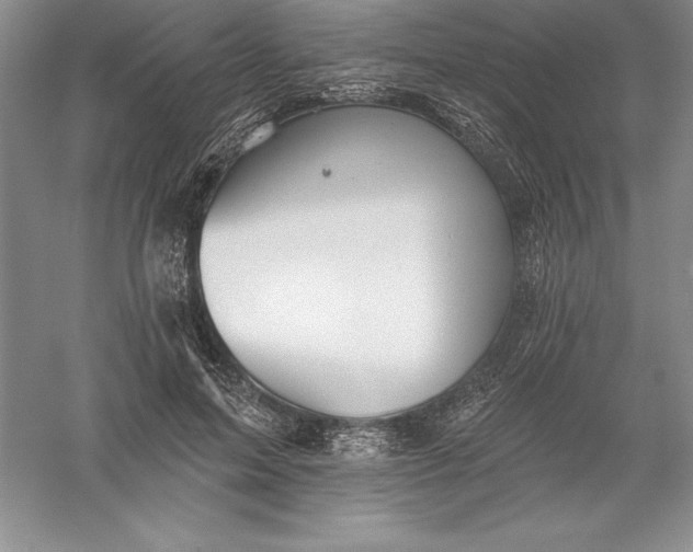 X0000055990599200509092021