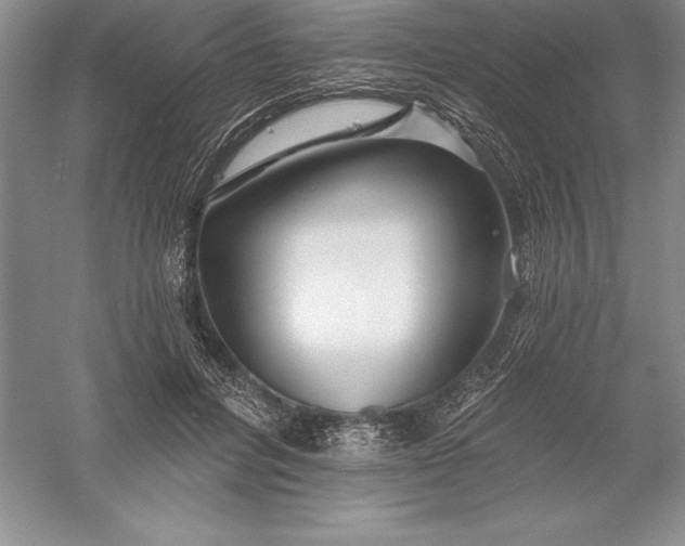 X0000055990600200509092021