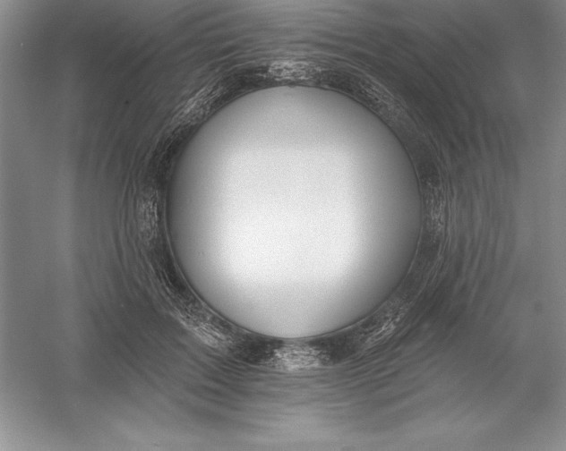 X0000055990603200509092021