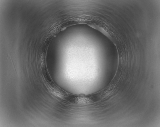 X0000055990605200509092021