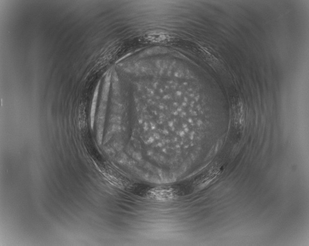 X0000055990606200509092021