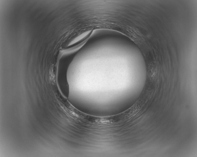 X0000055990607200509092021