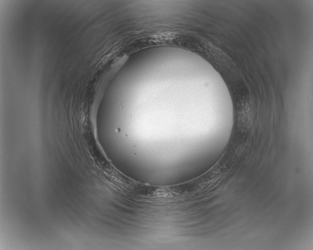 X0000055990608200509092021