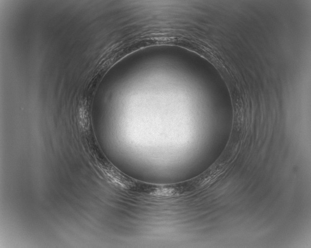 X0000055990609200509092021