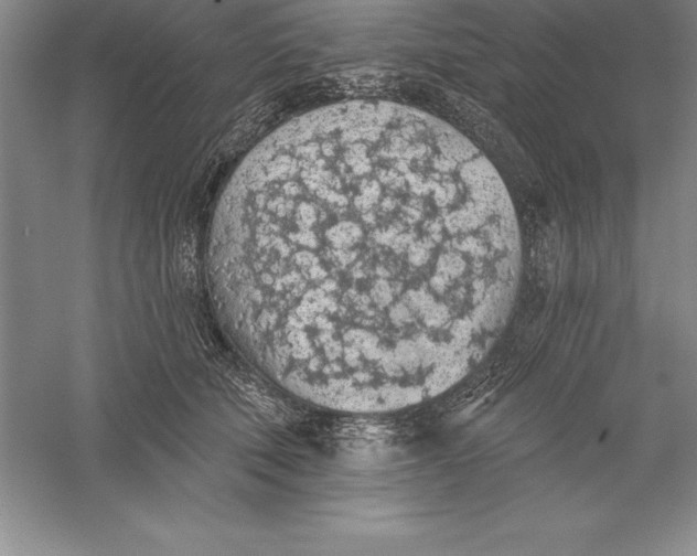 X0000055990610200509092021