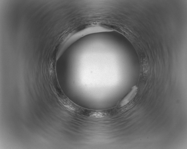 X0000055990611200509092021