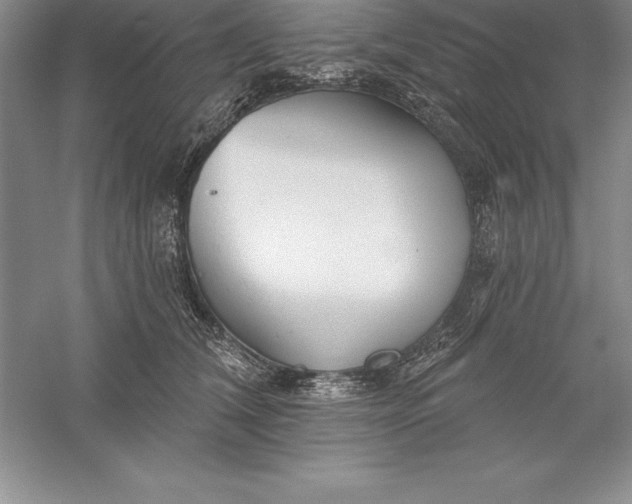 X0000055990612200509092021