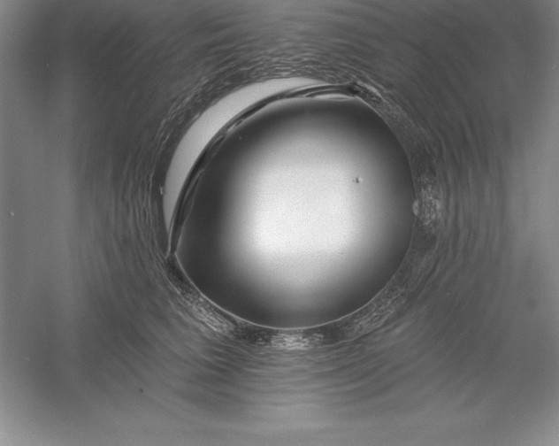 X0000055990613200509092021