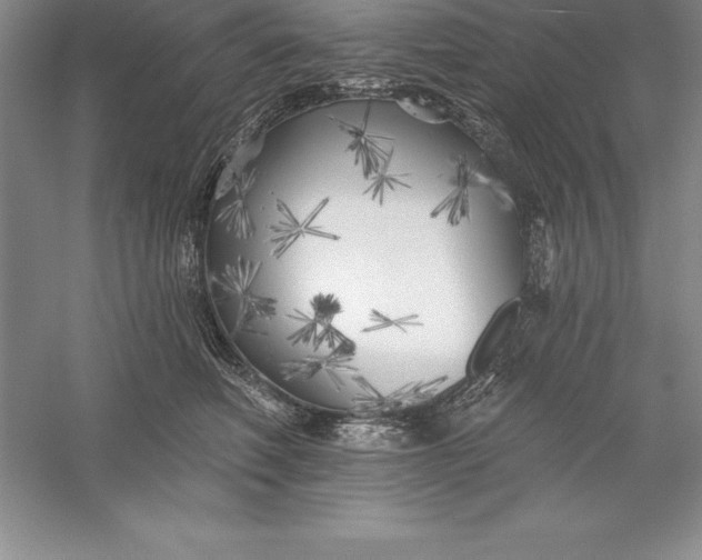 X0000055990614200509092021