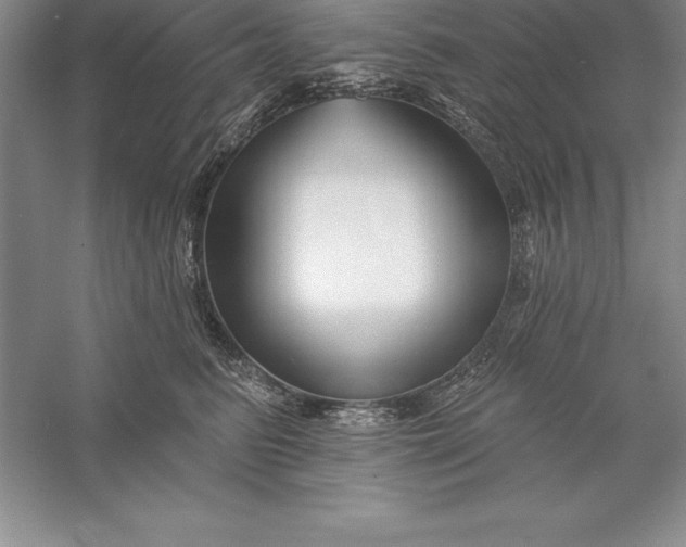 X0000055990615200509092021