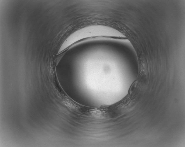 X0000055990616200509092021