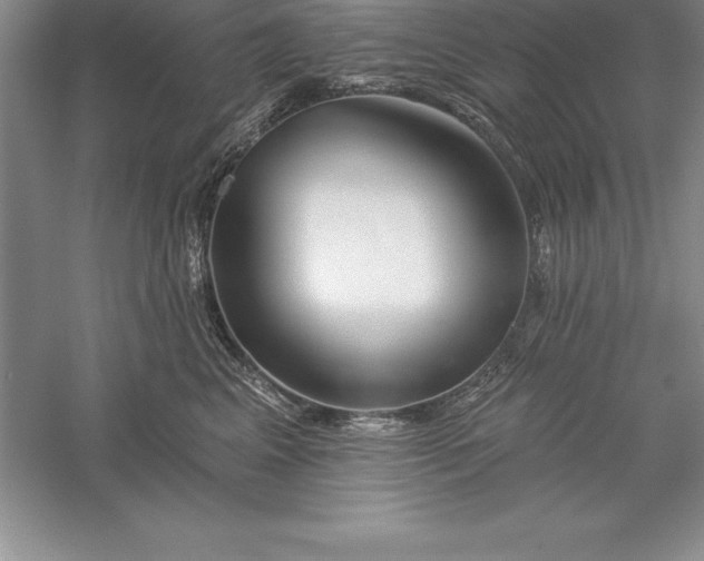 X0000055990617200509092021