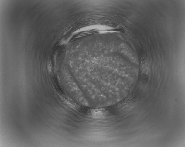 X0000055990618200509092021