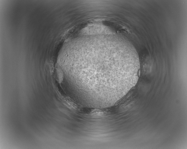 X0000055990620200509092021