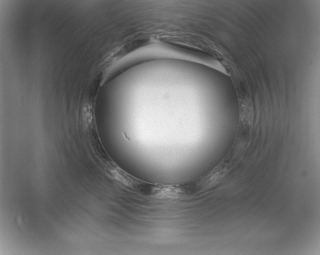 X0000055990621200509092021