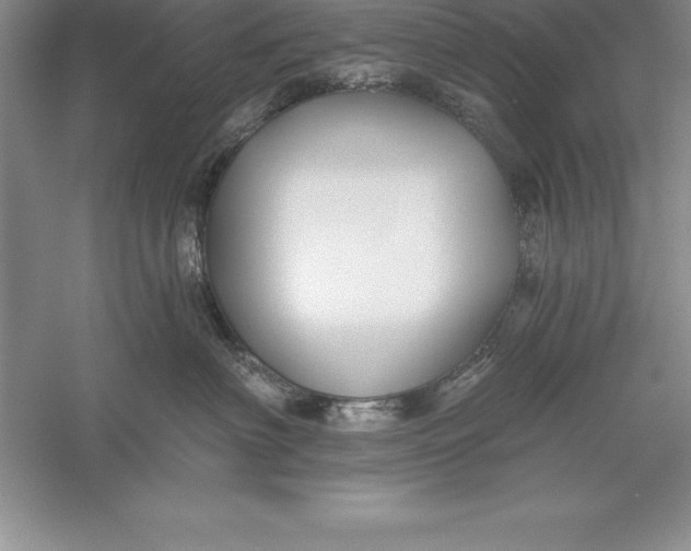 X0000055990622200509092021